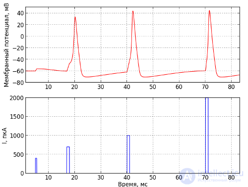   Simulate the electrical activity of neurons 