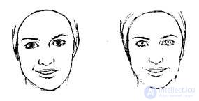   4. Various models and methods of visual contact. 