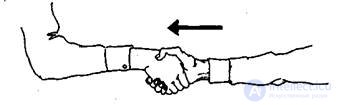   5. Open and hidden gesture language. 