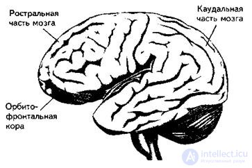 7. PSYCHOPHYSIOLOGY OF EMOTIONS