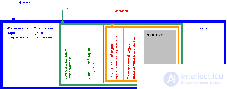  Basics of computer networks. 