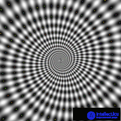   Illusions of Motion Visual Illusions 
