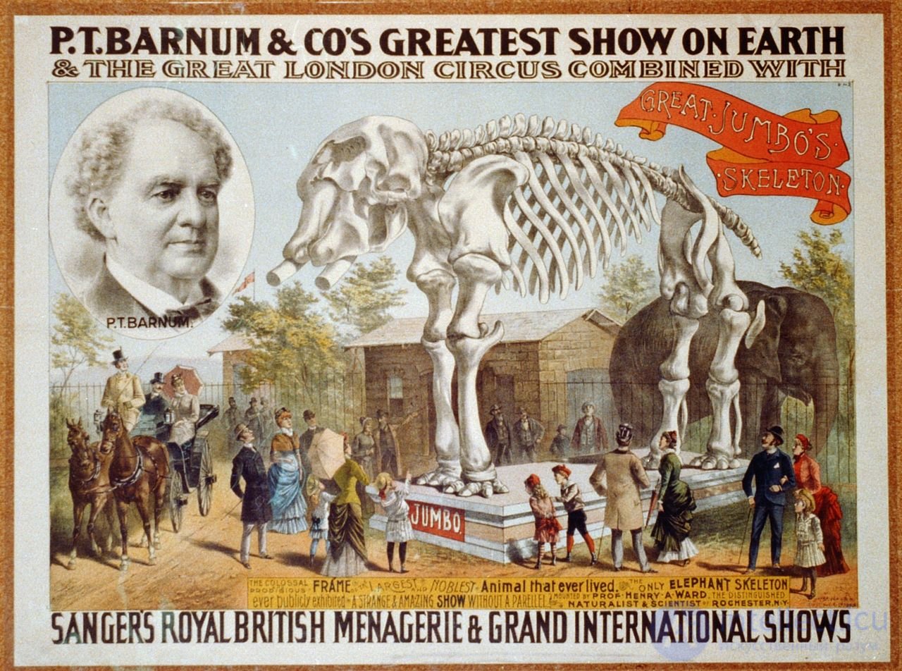   Barnum effect (forer effect, subjective confirmation effect) 