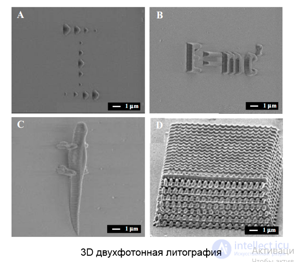 Optical nanolithography. Her species